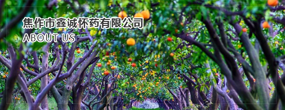 公司簡介配圖